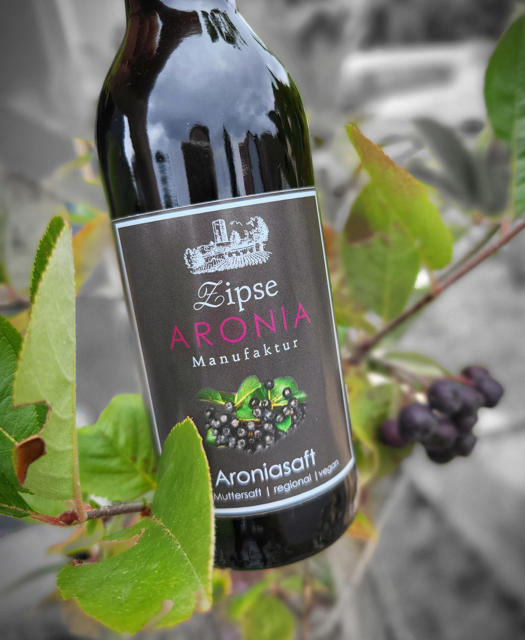 Aronia Saft 25cl